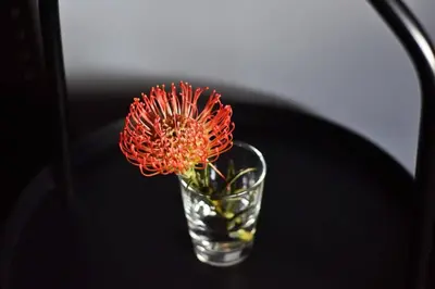 a red flower in a glass vase on a table at Domillion New Modern Old town apt 16 ppl U2C1 in Vilnius