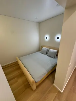 a small bedroom with a bed with two pillows at 13 New Airport Apartment in VNO