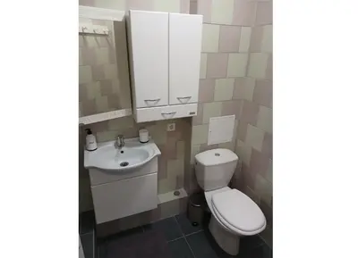 a bathroom with a toilet and a sink at Alytus Studio 45 in Alytus