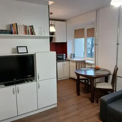 Alytus Studio 45