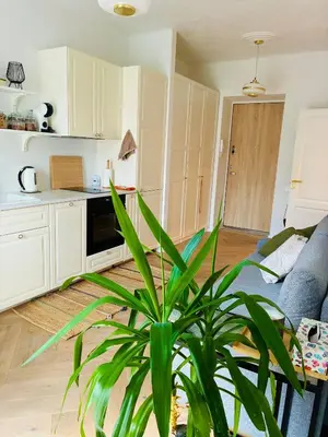 a living room with a blue couch and a plant at Old Town Riverside Haven in Vilnius
