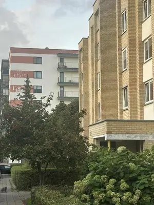 a large brick building with a tree in front of it at Projektuotojų Apartamentai in Panevėžys