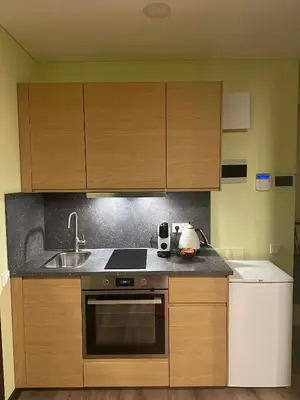 a kitchen with wooden cabinets and a sink at Holiday home in Birstonas in Birštonas