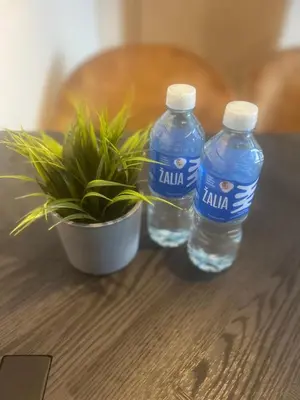 two bottles of water on a table with a plant at Two Bedroom Riverland Apartment in VNO