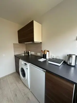 a kitchen with a washing machine on a counter at Little cocoon at border of old city in Vilnius