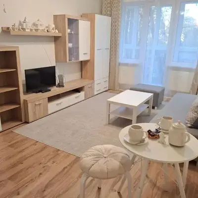 Angel Apartment near city centre
