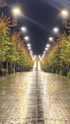 a long street with trees and lights at night at Draugystės Apartments - Šiauliai Center in Šiauliai