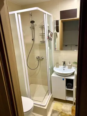 a bathroom with a shower and a toilet and a sink at Bright and cozy apartment in the city center with balcony in Šiauliai