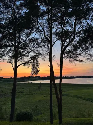 two trees in a field with a sunset in the background at Piliakalnio Apartmentai in Kupiškis