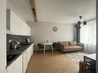 a kitchen and living room with a couch and a table at Apartment 52 in Kaunas