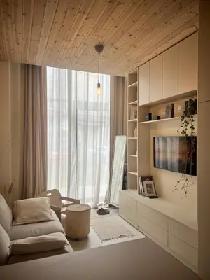 a living room with a couch and a tv at Designer studio in Vilnius