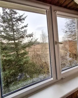 a window with a view of a tree in a field at Sodyba prie Mūšos