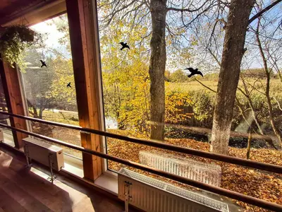 a window with birds flying in the sky at Sodyba prie Mūšos