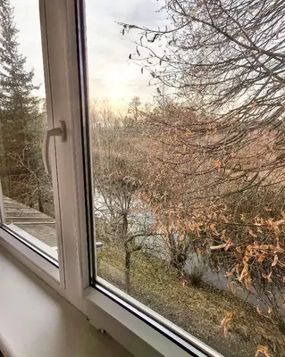 a window with a view of a tree at Sodyba prie Mūšos