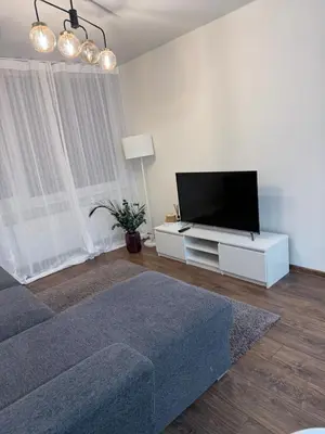 a living room with a couch and a flat screen tv at EVA apartment in Marijampolė