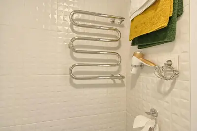 a shower with a towel holder in a bathroom at Aqua apartment in Druskininkai