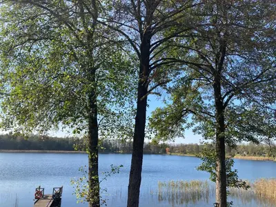 a bench sitting between two trees in front of a lake at Peaceful lake retreat with sauna