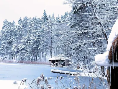 a snow covered forest with a cabin in the background at Lakajų Resort in Molėtai