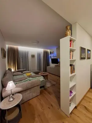 a living room with a couch and a book shelf at Ievos apartamentai in Birštonas