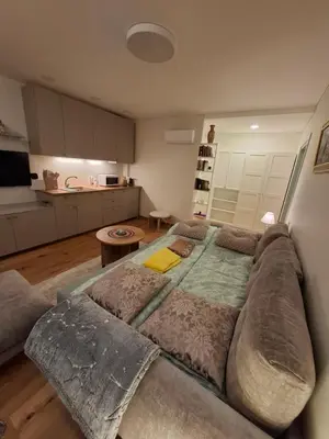 a large bed in a room with a kitchen at Ievos apartamentai in Birštonas