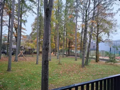 a park with trees and leaves on the grass at Ievos apartamentai in Birštonas