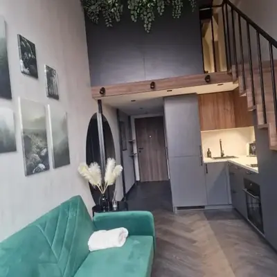 Stylish loft