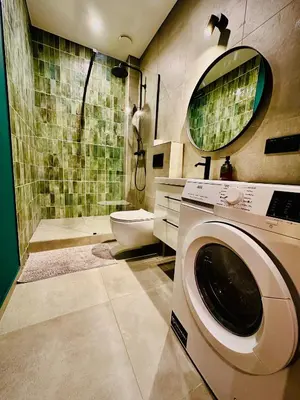 a washing machine in a bathroom with a shower at M&M Apartment IV SELF CHECK-IN in Panevėžys