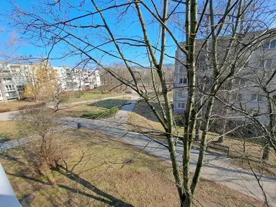 a tree in the foreground with a building in the background at Vilnius prie centro ramybė tarp medžių in Vilnius
