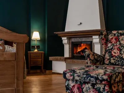 a dog sitting in a chair in front of a fireplace at Bernardinu Boutique in Vilnius