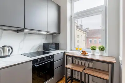 a kitchen with a stove and a window at Charming Apartment in Kaunas Old Town in Kaunas
