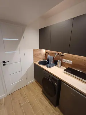 a kitchen with a sink and a washing machine at Flowers appartments in Vilnius