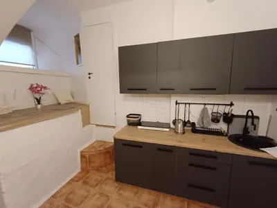 a kitchen with a sink and a counter top at Flowers appartments in Vilnius