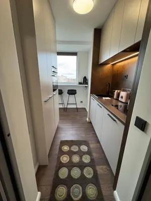 a small kitchen with white cabinets and a kitchen rug at EGo Apartment in Vilnius