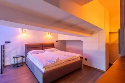 a bedroom with a large bed in a room at SoHo Gallery Loft 437 in Kaunas