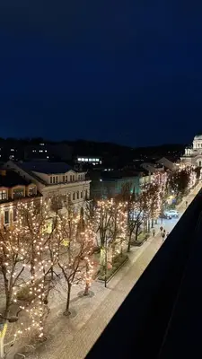 a view of a city with christmas lights on trees at Laisves alejos Apartments in Kaunas