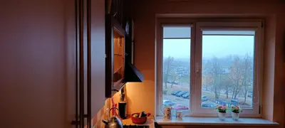 a kitchen window with two vases of flowers on a window sill at Ruola in Kaunas