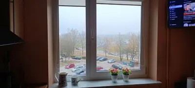 two vases with flowers sitting on a window sill at Ruola in Kaunas