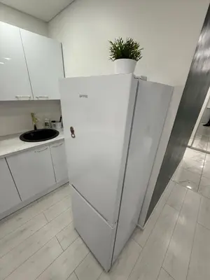 a white refrigerator in a kitchen with a potted plant on top at Welcome to Dovas Home in Anykščiai