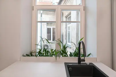 a kitchen with a sink and a window with plants at Orbis Old Town Suites in Vilnius