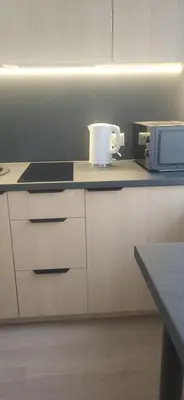 a kitchen with a counter top with a microwave at Vilniaus alėja 4 in Druskininkai