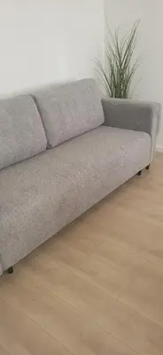 a gray couch in a room with a plant at Vilniaus alėja 4 in Druskininkai