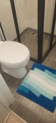 a bathroom with a toilet and a blue rug at Vilniaus alėja 4 in Druskininkai