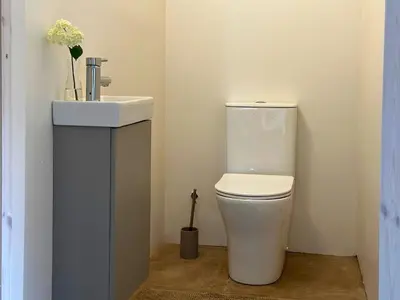a bathroom with a white toilet and a sink at Private Lake Escape- 6BR, Sauna & Bonfire in Skersabaliai