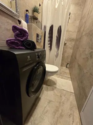a washing machine in a bathroom with a toilet at Jaukus butas Panemunėje su vaizdu į Nemuną in Kaunas