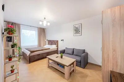 a living room with a couch and a bed at Cozy airport apartment