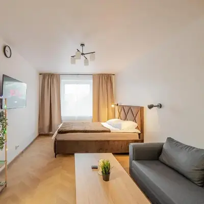 Cozy airport apartment