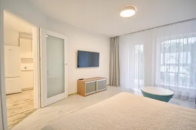 a bedroom with a bed and a tv on a wall at Snow apartment in Druskininkai