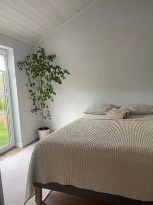 a bedroom with a bed and a potted plant at Cozy House By VP in Anykščiai