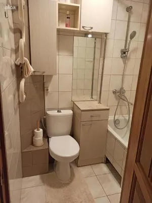 a small bathroom with a toilet and a shower at Jaukus būstas poilsiui in Kaunas