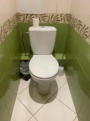 a white toilet in a bathroom with green walls at Silver Vytauto Apartments in Šiauliai